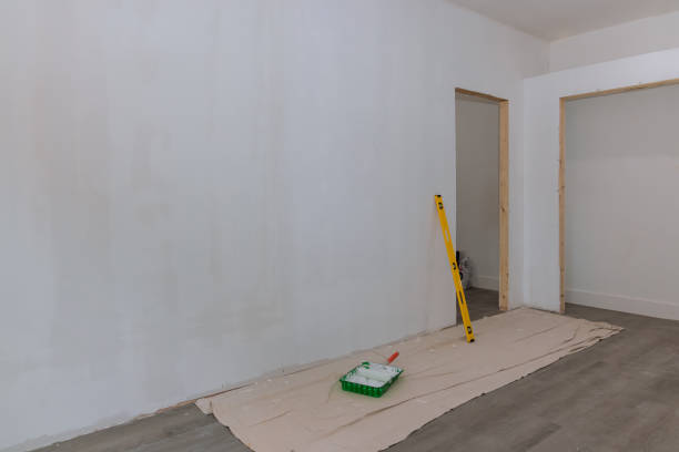 Best Drywall Removal and Disposal  in Rogersville, MO